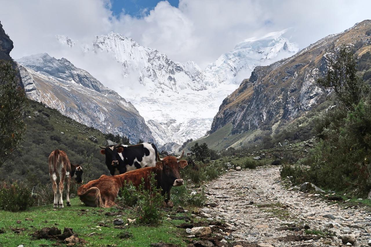 The Lazy Dog Inn A Mountain Lodge Huaraz  Exterior foto